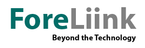 ForeLiink Technology